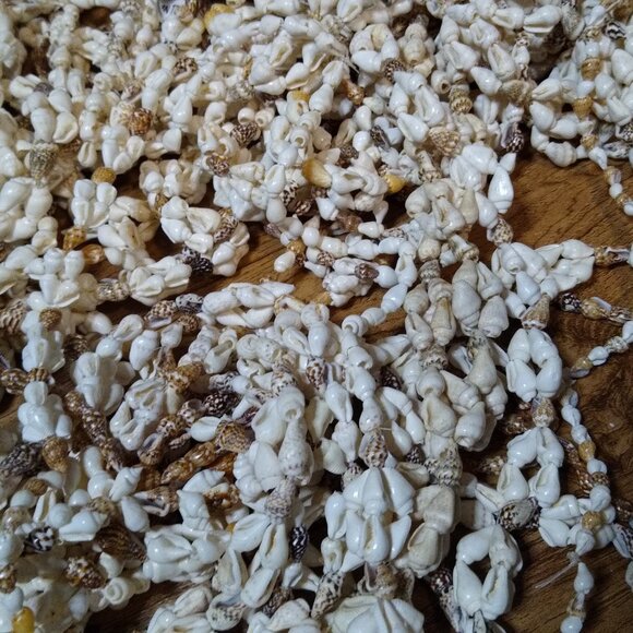Lot Of Over 25 Shell Necklaces - Picture 6 of 8
